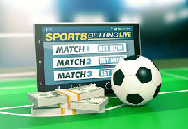 Betwinner Your Ultimate Guide to Online Betting Success 525342862